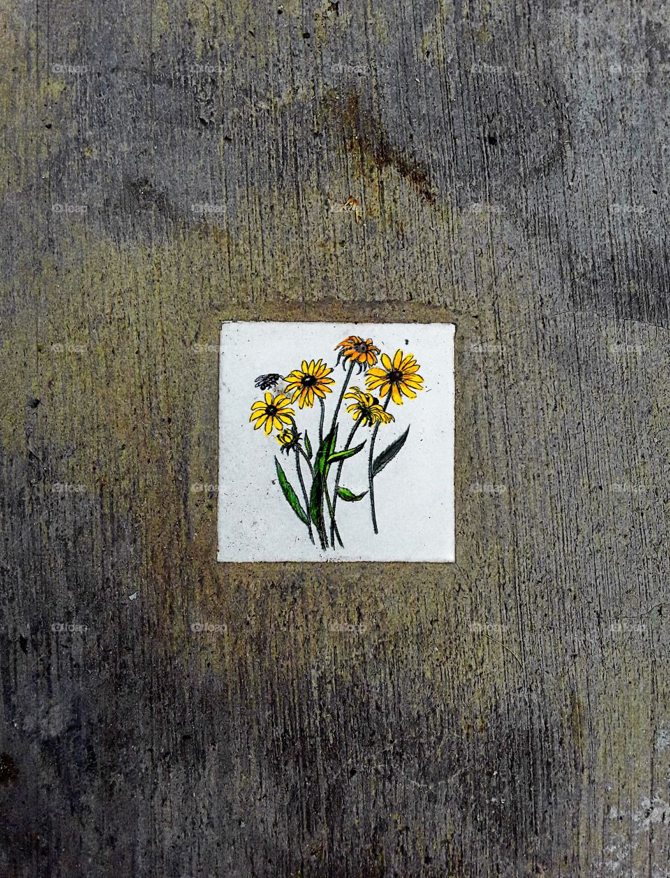 Random tile in the sidewalk