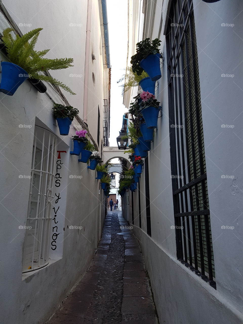 Narrow street with blue pots suspended on white walls. Cordoba. Spain.