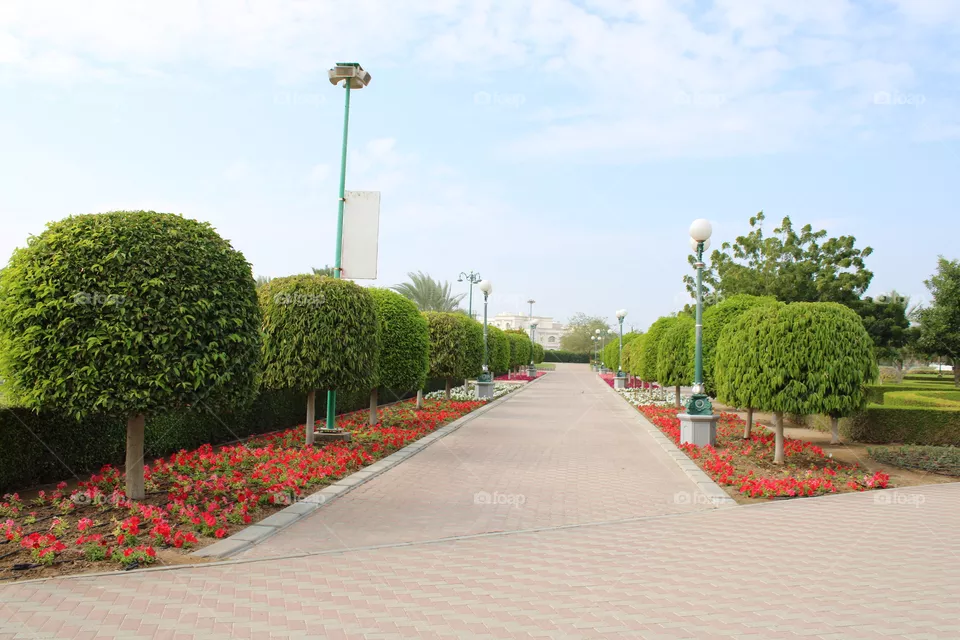 Park