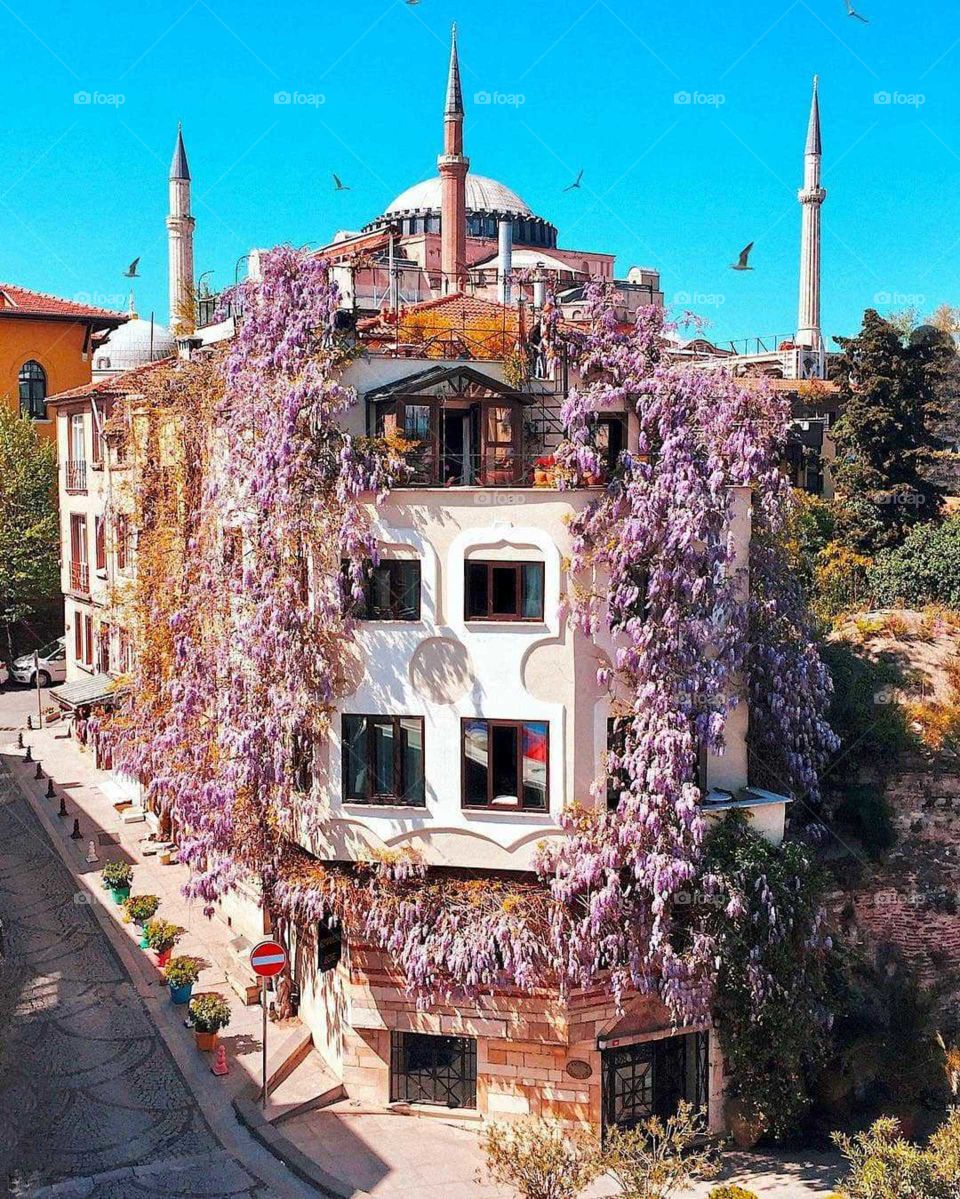 do you want to live here?