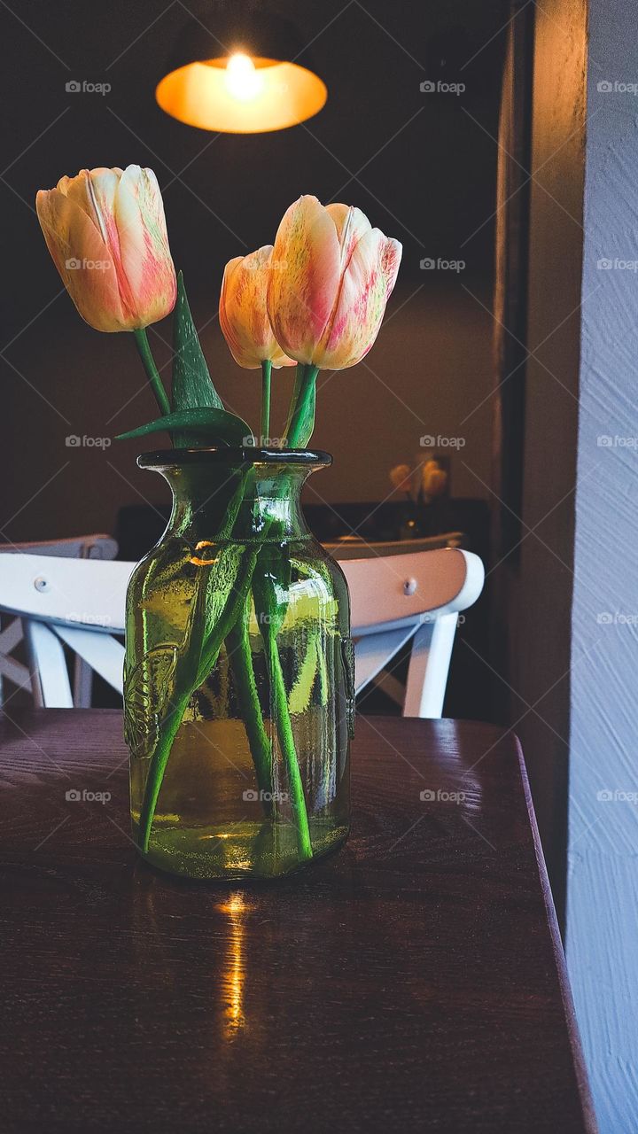 tulips in the vase