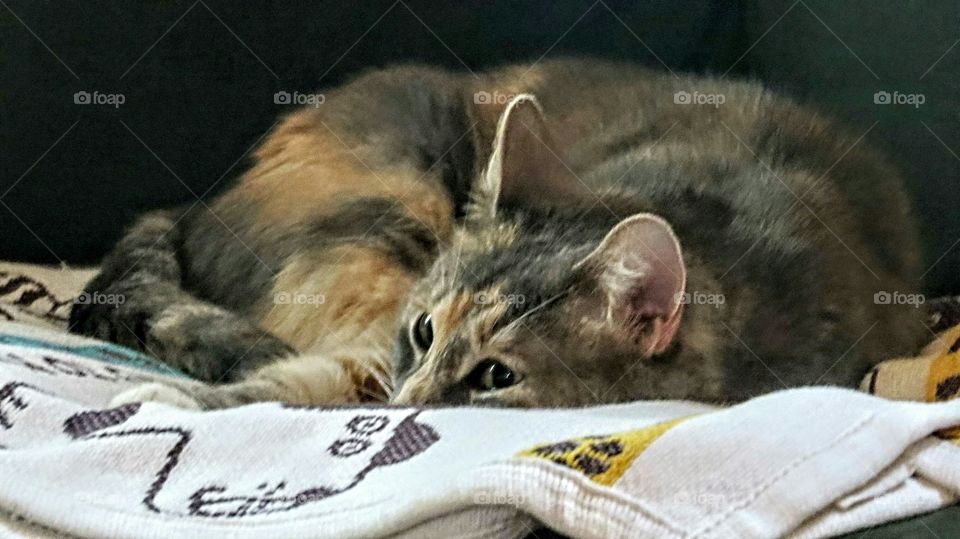 I WAS trying to sleep