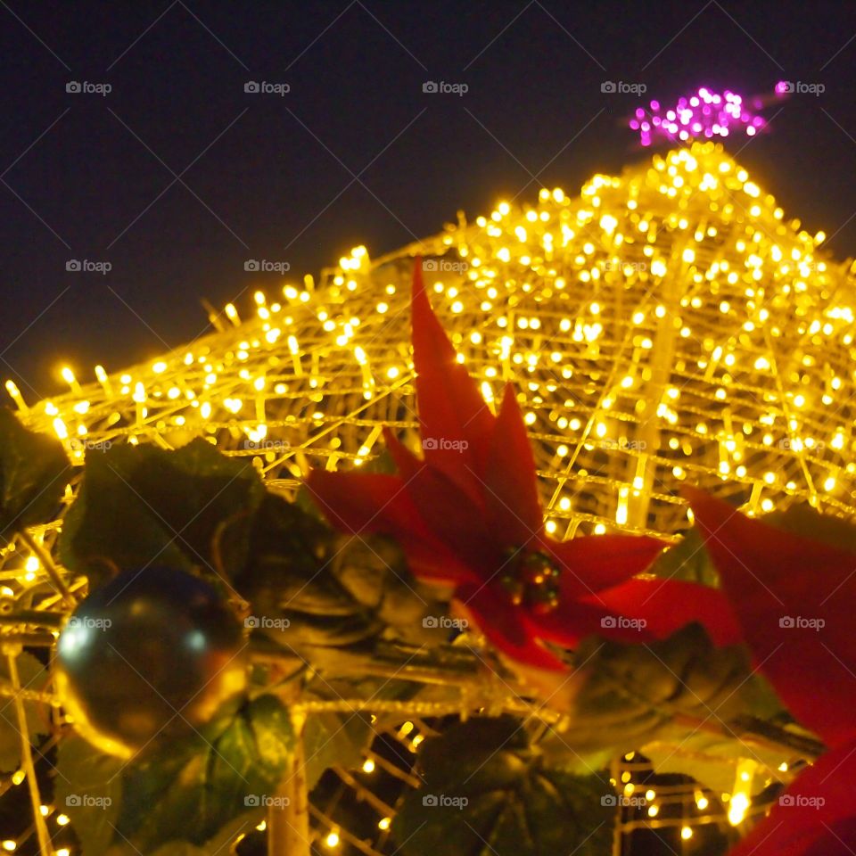 nice xmas light tree