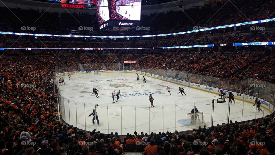 Anaheim Ducks