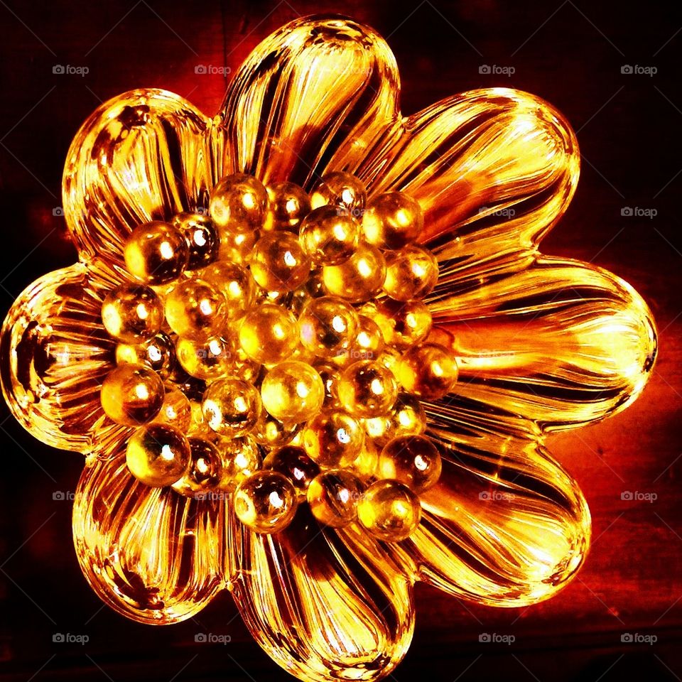 Golden Flower 