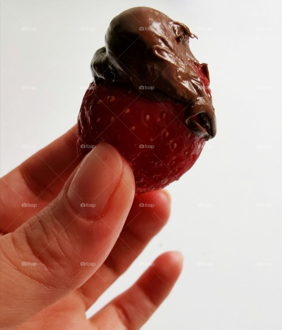 Fruits berry view bio fresh yummy healthy chocolade hand