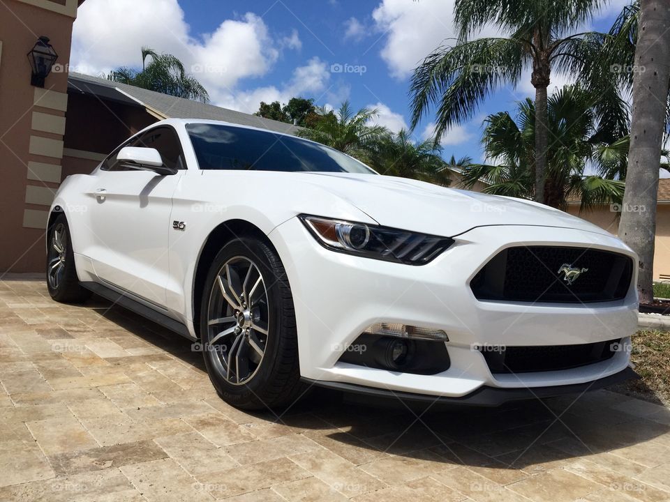 2015 GT Mustang 
