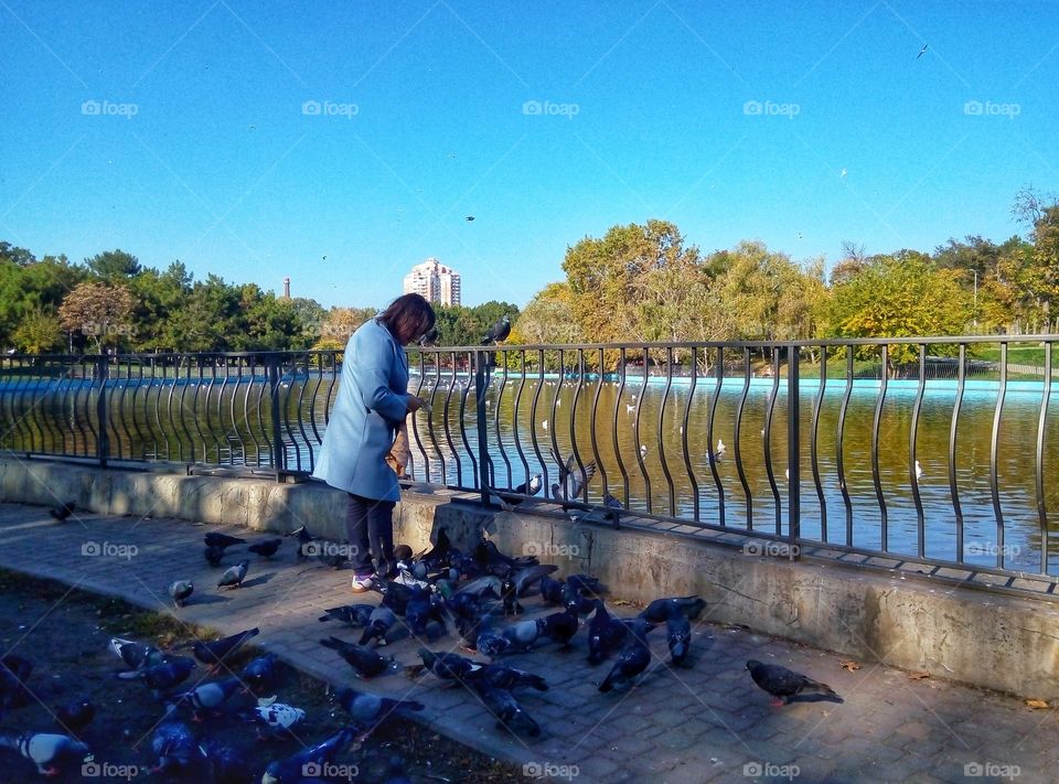 A woman is feeding pigeons in the park женщина в парке кормит голубей