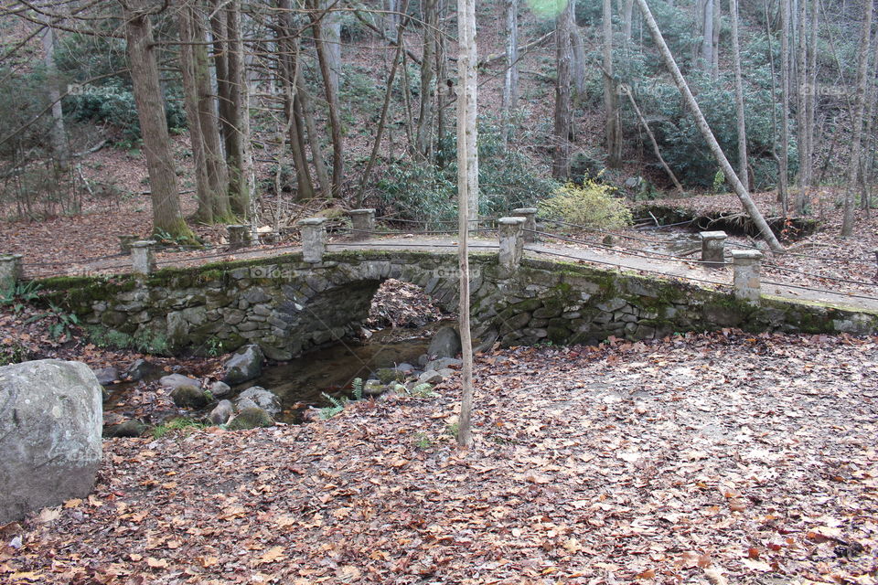 Elkmont bridge