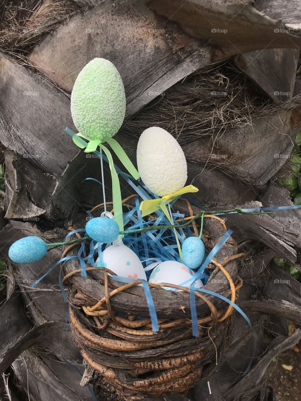Easter bird nest basket in the tree with colorful eggs 