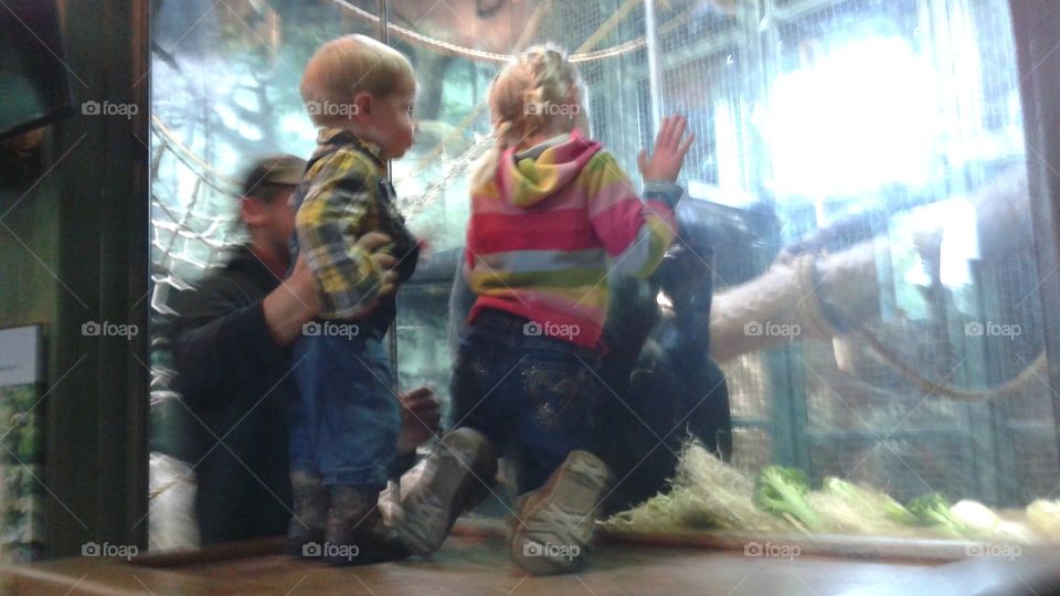 Kids at the zoo