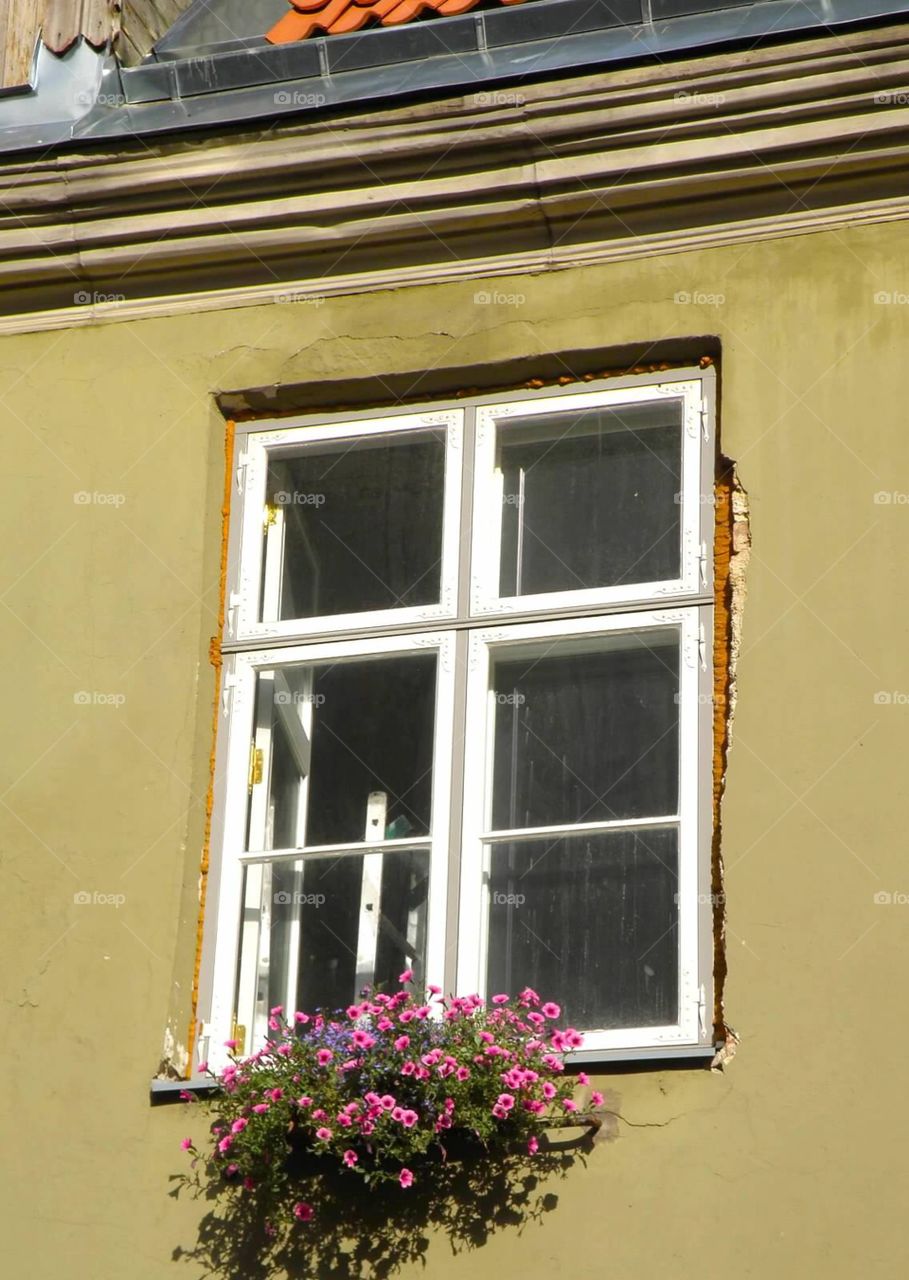 Old window 