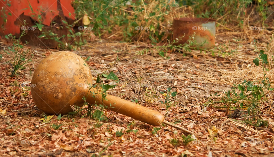 italy ground leaves fall by kuzeytac