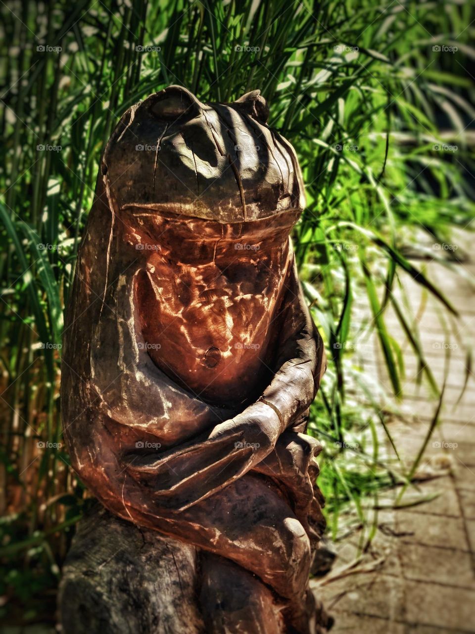 Contemplating Frog Wooden Sculpture in Nature