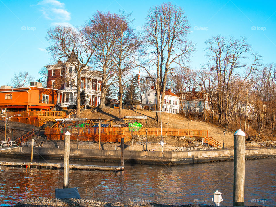 winter trees mansion marina by delvec