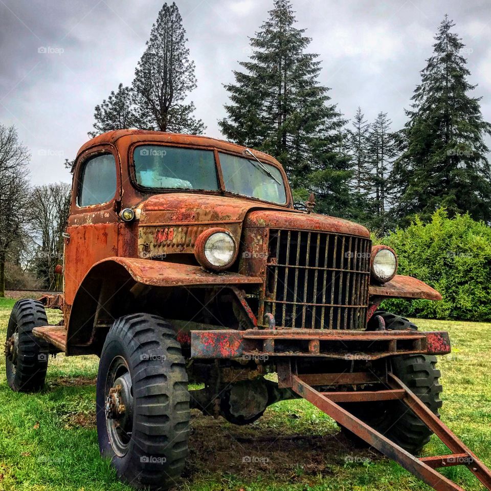 Abandoned and full of life 