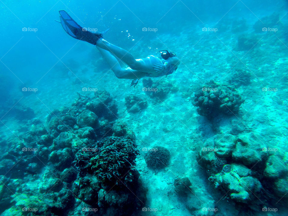 Snorkeling under the Caribbean sea is perfection