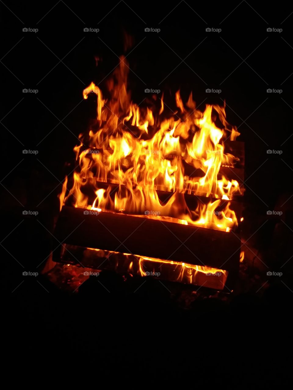 bonfire flames