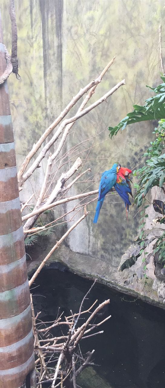 Zoo time 