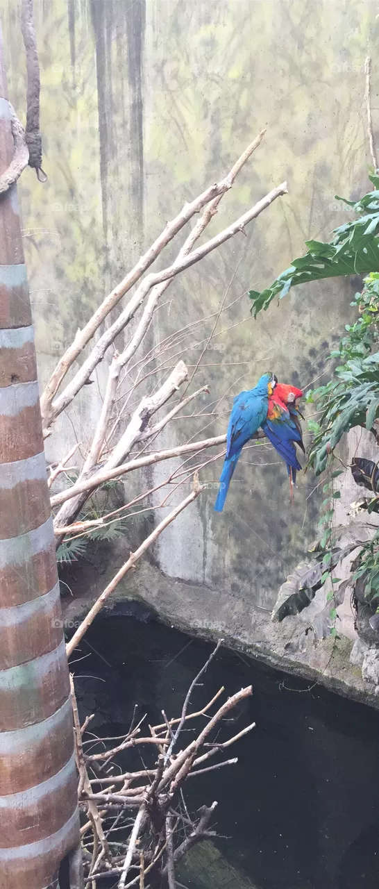 Zoo time 