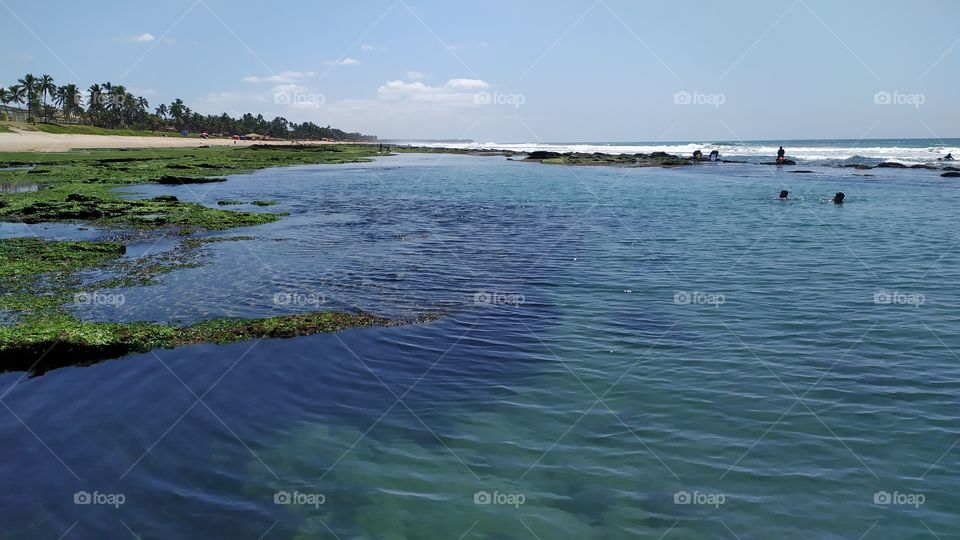 Natural swimming pool