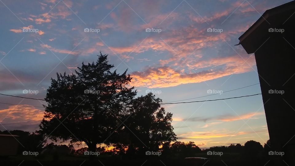 Tree, Sunset, Landscape, Silhouette, Dawn