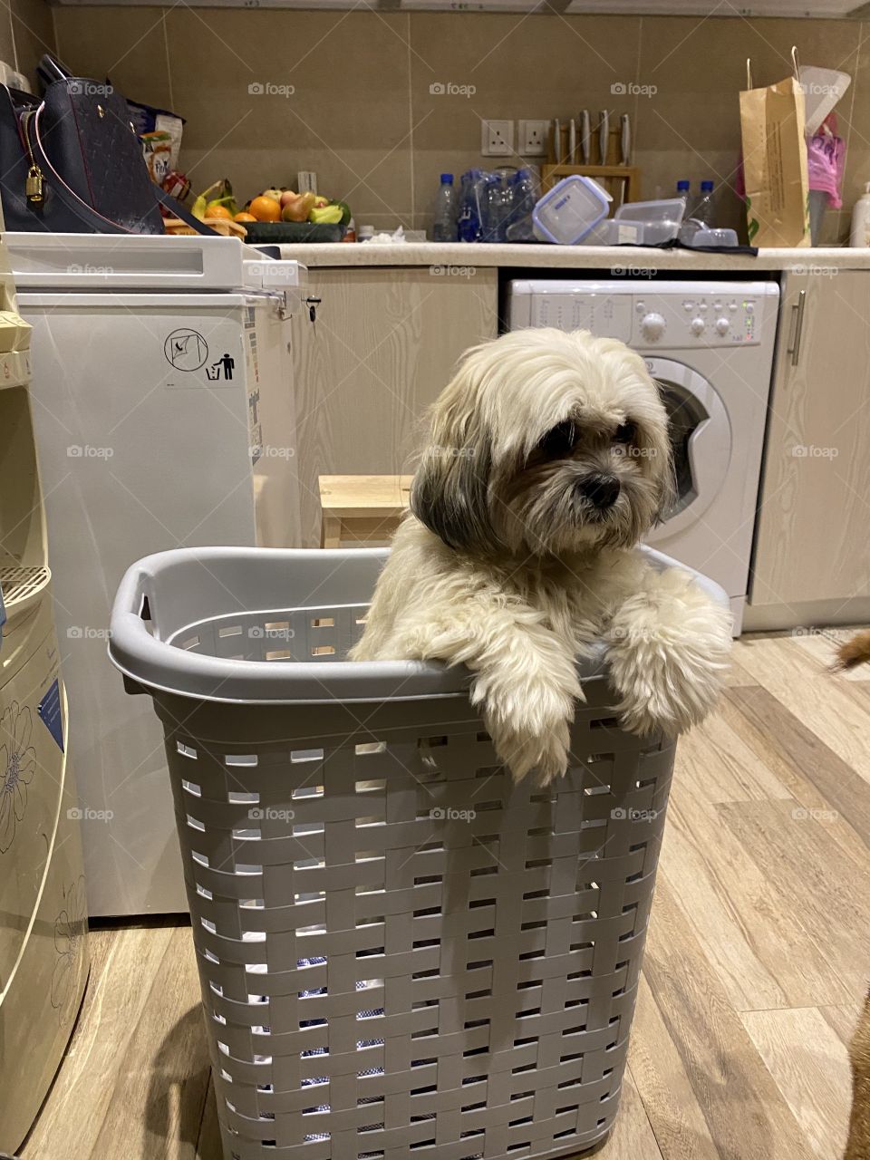 Only when I am naughty