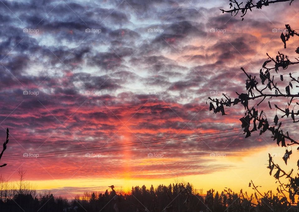 Beautiful Alberta Sunrise silhouette