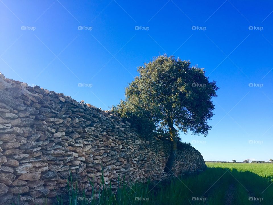 Surrounding wall in field