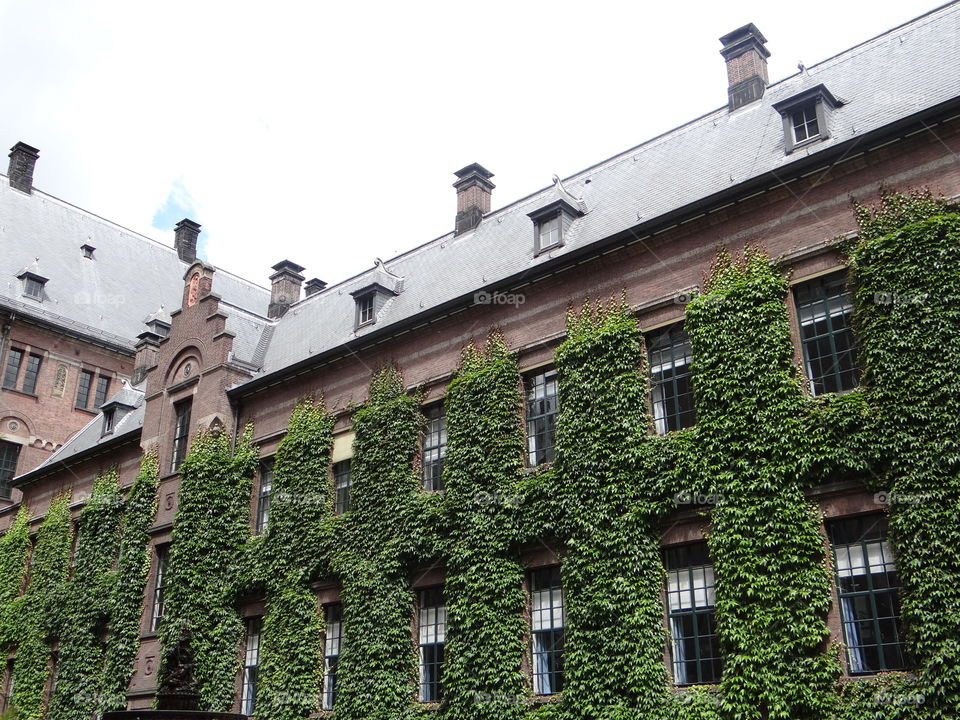 Cityhall Rotterdam