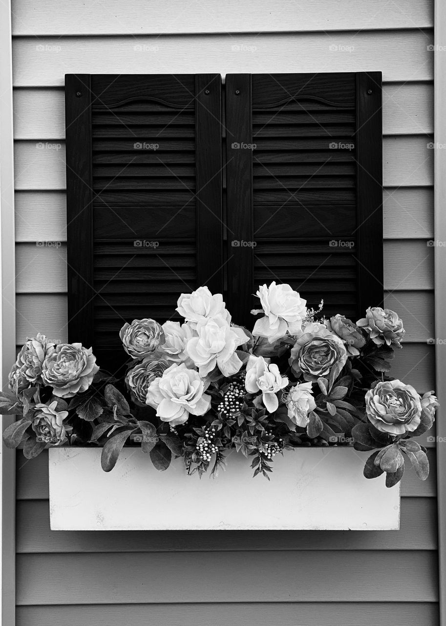 Flowers in the window black and white 