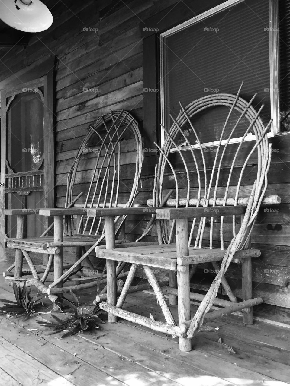 Watching the grass grow. Cabin in the forest
