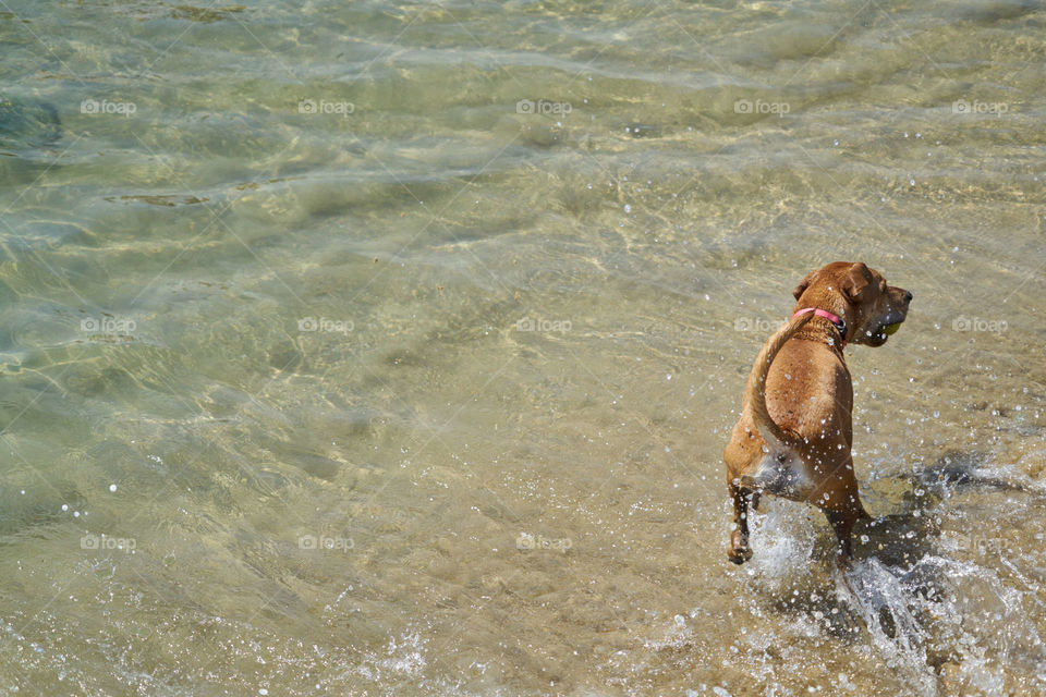 At the beach