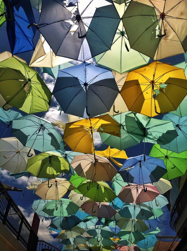 umbrella 