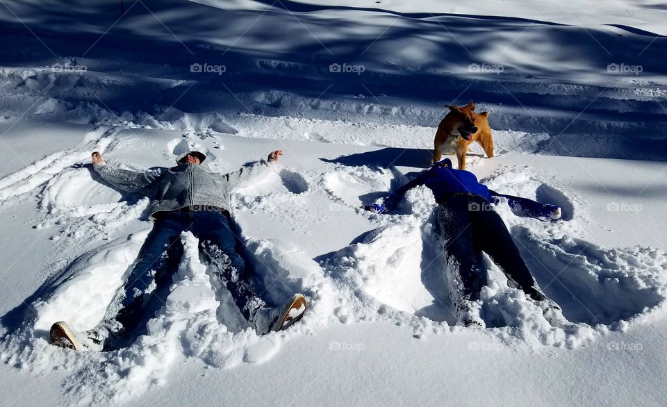 Snow angels in the Sonoran Desert