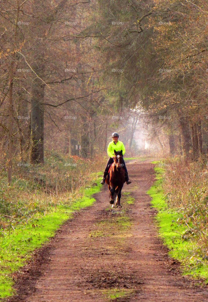 horseriding