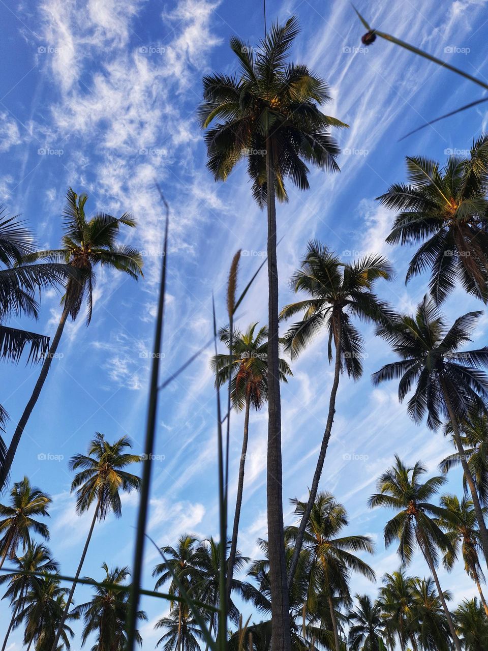 Beautiful cloud patterns in Sri Lankan sky during evening sunset