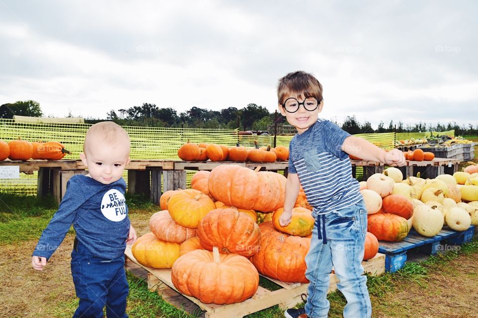 Pumpkin, Fall, Child, Halloween, Pasture