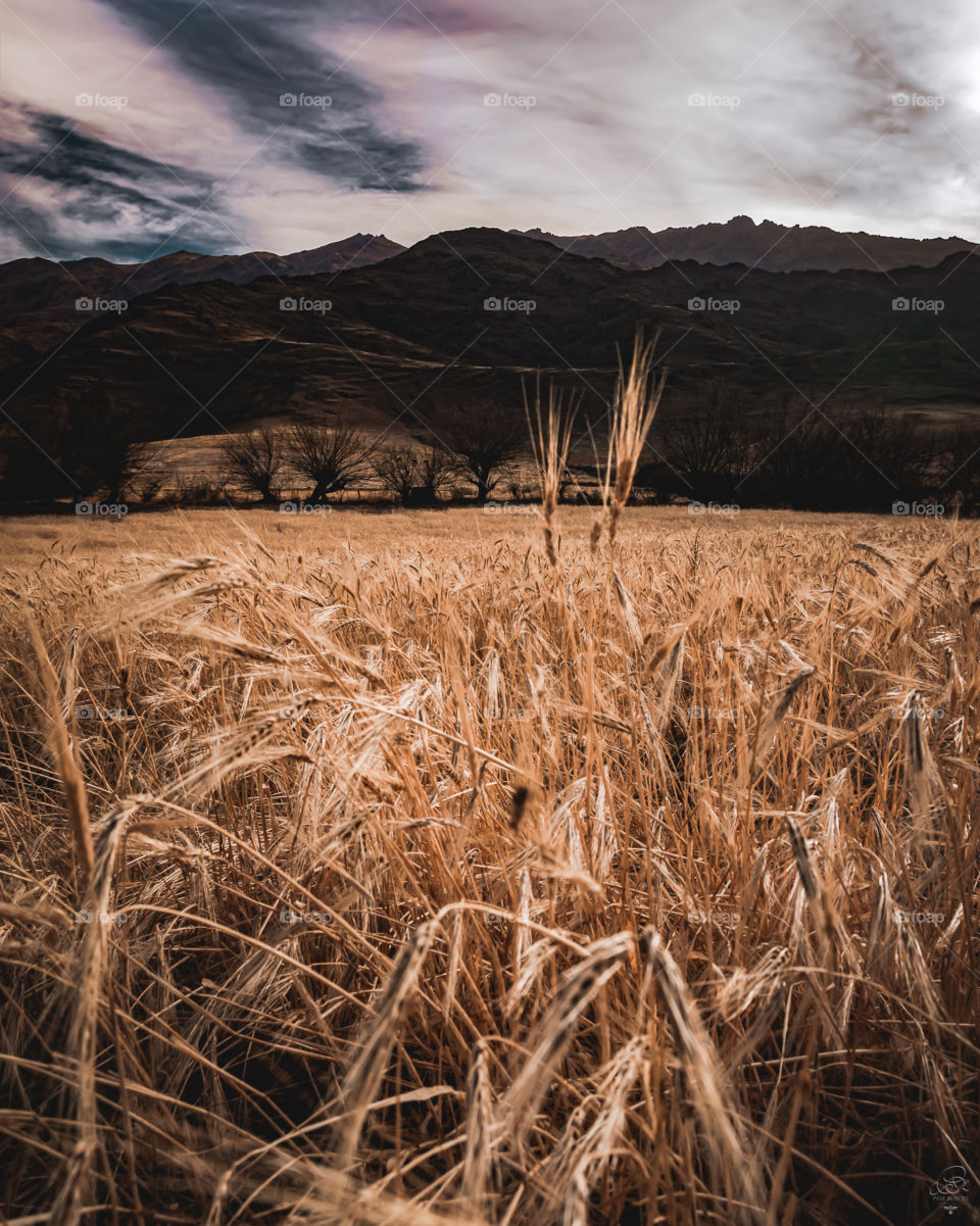 Mágico momento!

Tafí del Valle - Tucumán - Argentina 

Instagram @pamroblesspace