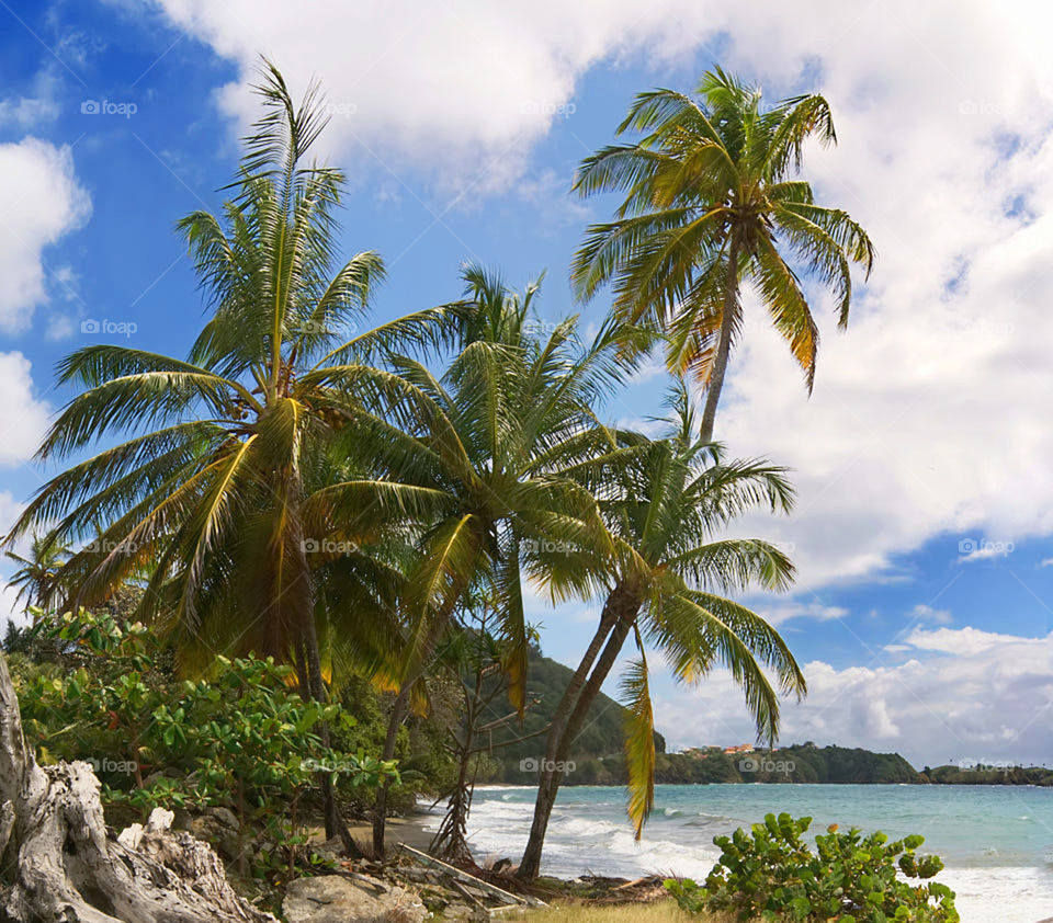 Travel around the world