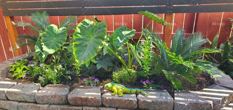 Planter full of plants