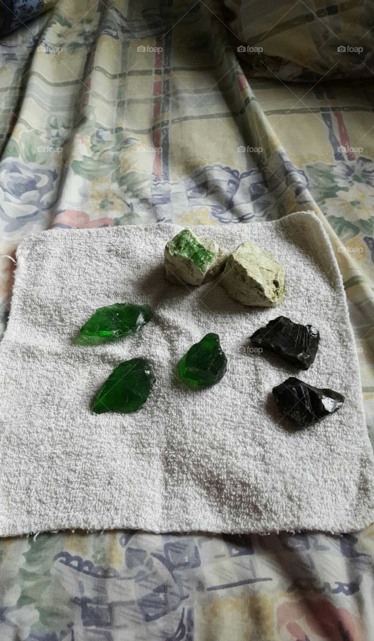 Green treasures found on beach
