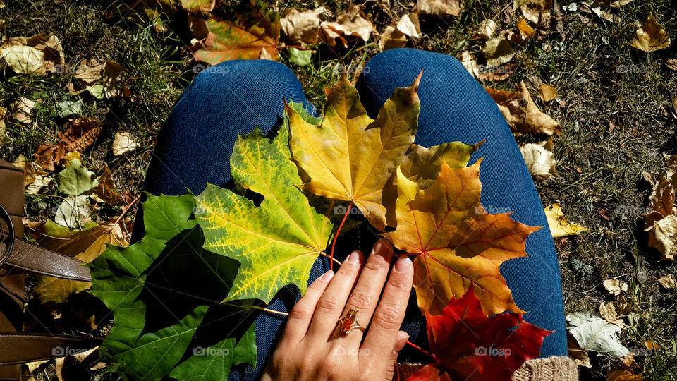 Woman holding autumn leaves