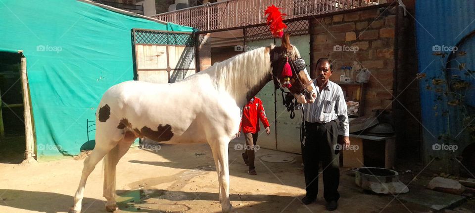 ##HORSE RIDING ##££$$