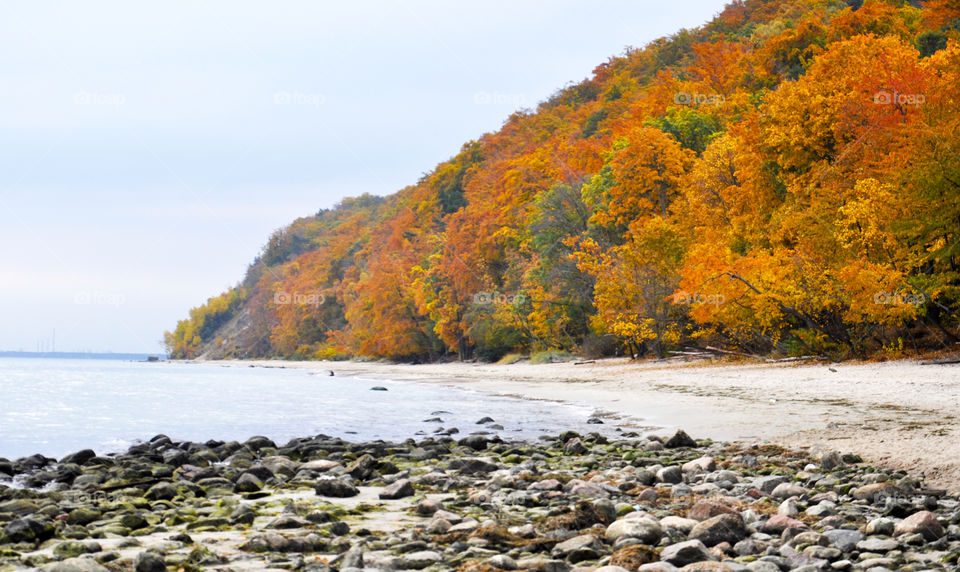 Autumn trees at beach, Gdynia