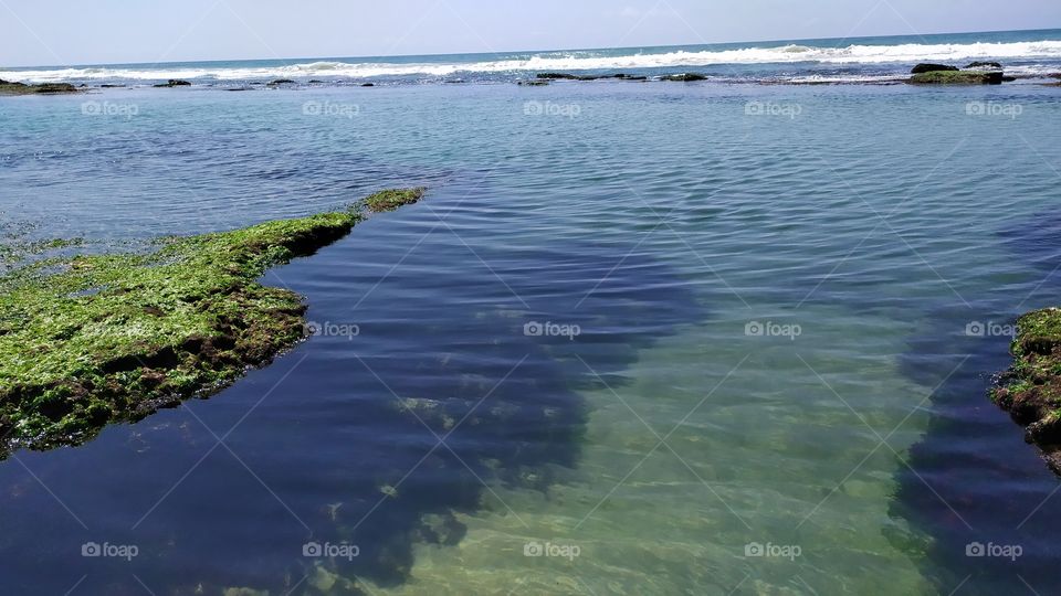 piscina natural