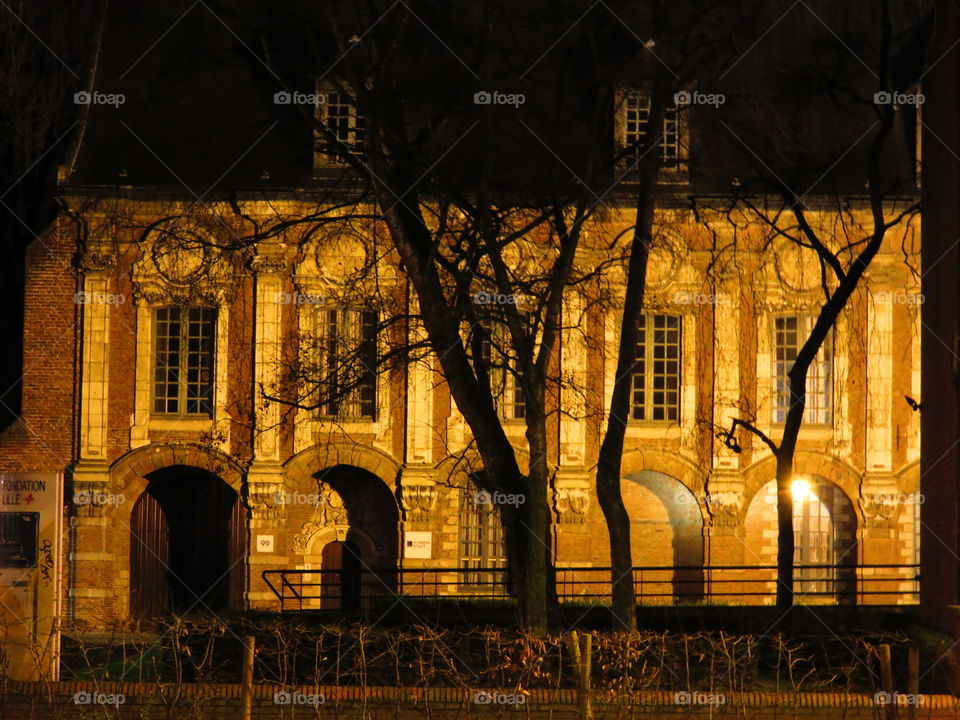 old Lille by night