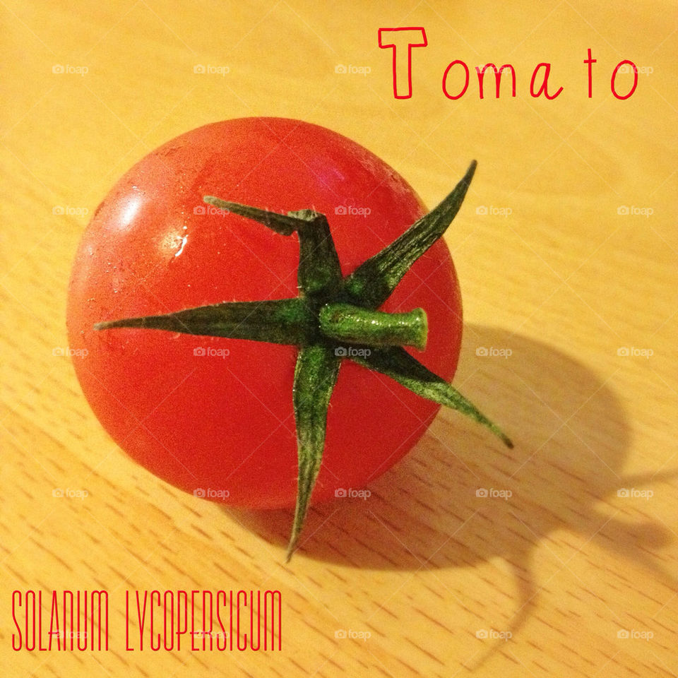 Tomato