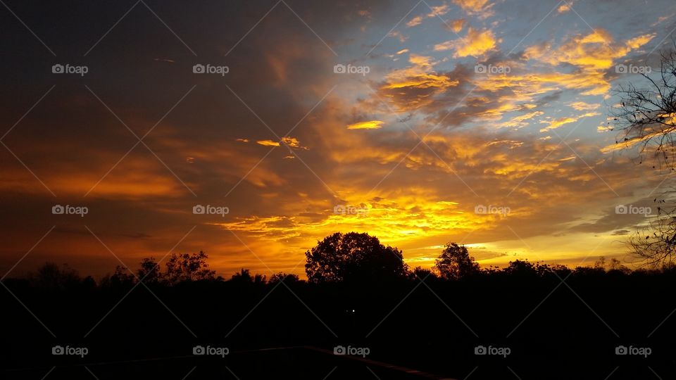 taken on a roof top in India