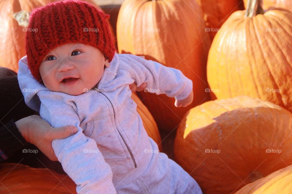 Little pumpkin with pumpkins 